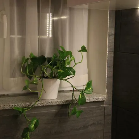 Franov With Pool, 10 Min From The Old Town Of زادار