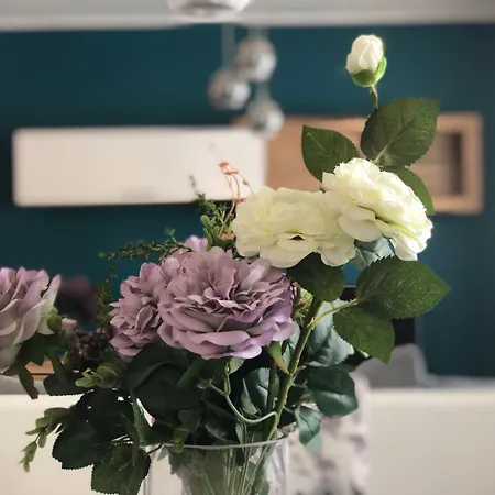 Franov With Pool, 10 Min From The Old Town Of زادار